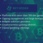 bet spider casino test